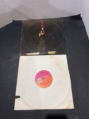 Shirley Bassey Live at Carnegie Hall 2-LP Vinyl Record Set